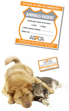 FREE Pet Safety Kit from ASPCA