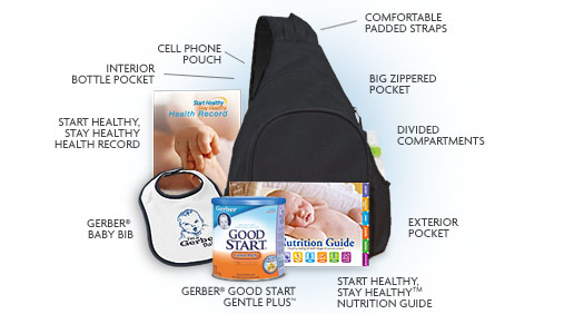 gerber baby free diaper bag