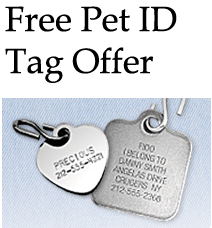 free-pet-id-offer