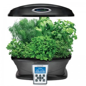 aerogarden