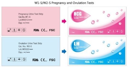 ovulation-test