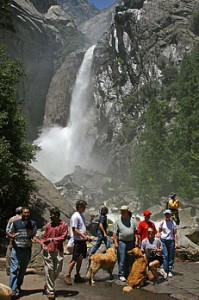 Yosemite national park free park day