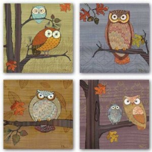 owl pictures amazon