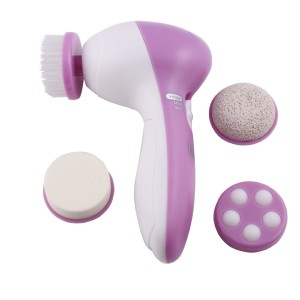 brush spa cleaning system